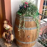 Weinhof Michael Morbach Zeltingen-Rachtig