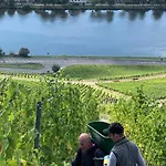 Weinhof Michael Morbach Pensión