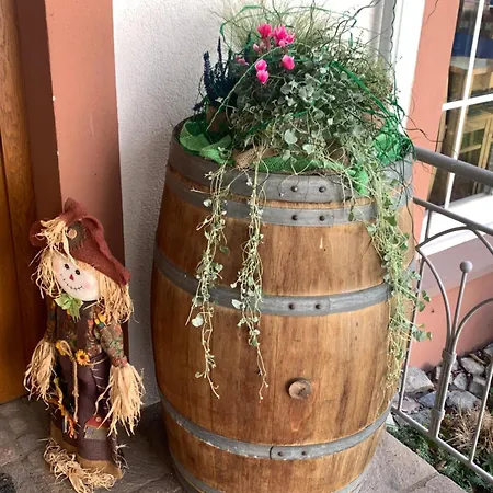 Weinhof Michael Morbach Zeltingen-Rachtig