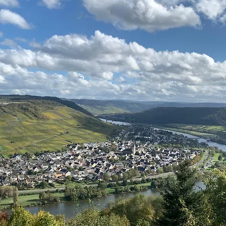 Weinhof Michael Morbach 게스트하우스