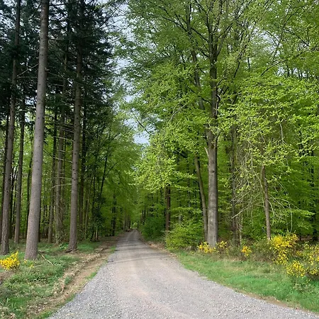 Weinhof Michael Morbach