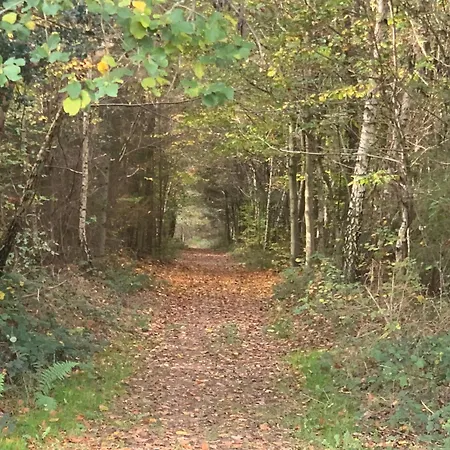 Weinhof Michael Morbach بيت ضيافة 3*