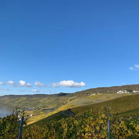 بيت ضيافة Weinhof Michael Morbach 3*