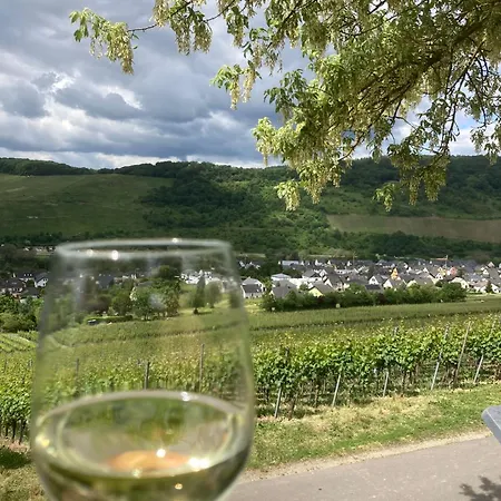 Weinhof Michael Morbach Penzion Zeltingen-Rachtig