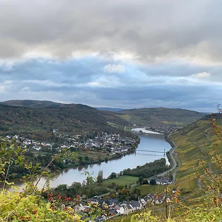 Weinhof Michael Morbach