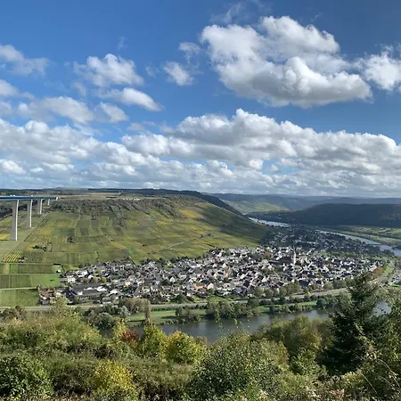 Weinhof Michael Morbach بيت ضيافة زلتنغن راختخ