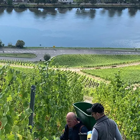 Weinhof Michael Morbach Gæstehus