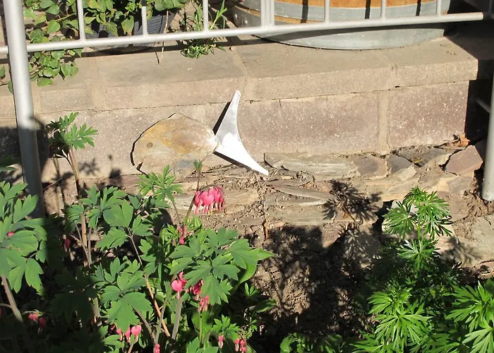 Weinhof Michael Morbach Casa de hóspedes Zeltingen-Rachtig