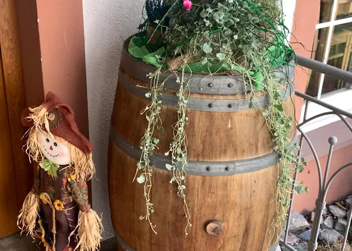 Weinhof Michael Morbach Zeltingen-Rachtig