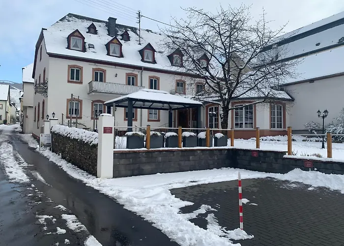 Weinhof Michael Morbach بيت ضيافة زلتنغن راختخ