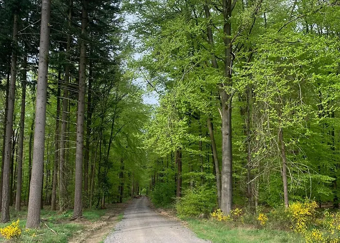 Weinhof Michael Morbach