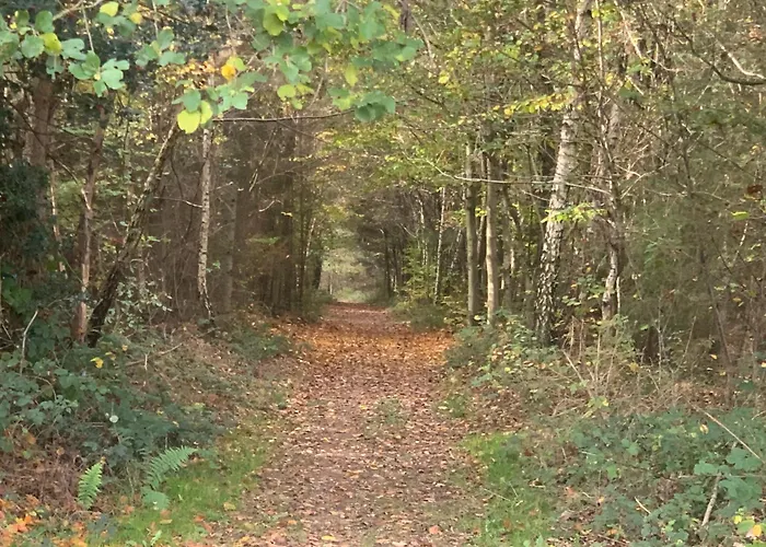 Weinhof Michael Morbach بيت ضيافة 3*