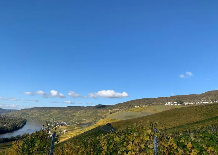 بيت ضيافة Weinhof Michael Morbach 3*