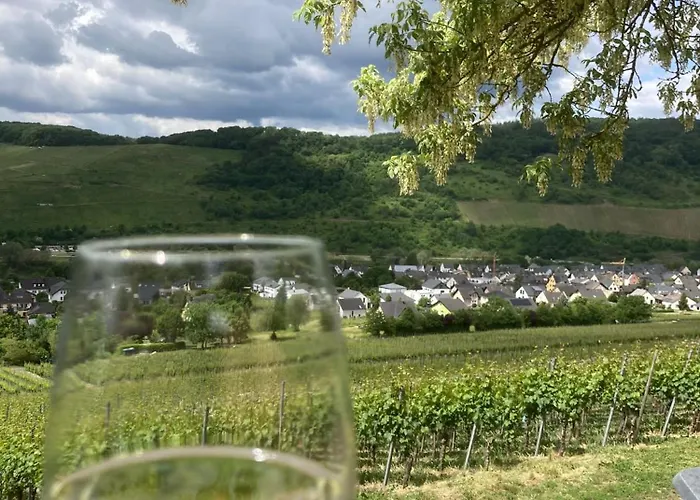 Weinhof Michael Morbach Casa de hóspedes Zeltingen-Rachtig