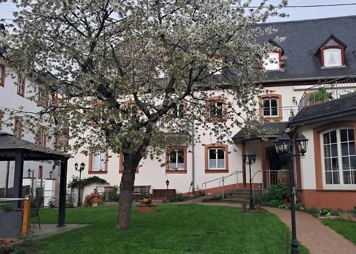 Casa de hóspedes Weinhof Michael Morbach Zeltingen-Rachtig