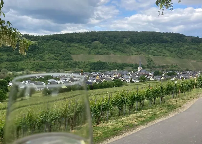 Weinhof Michael Morbach زلتنغن راختخ