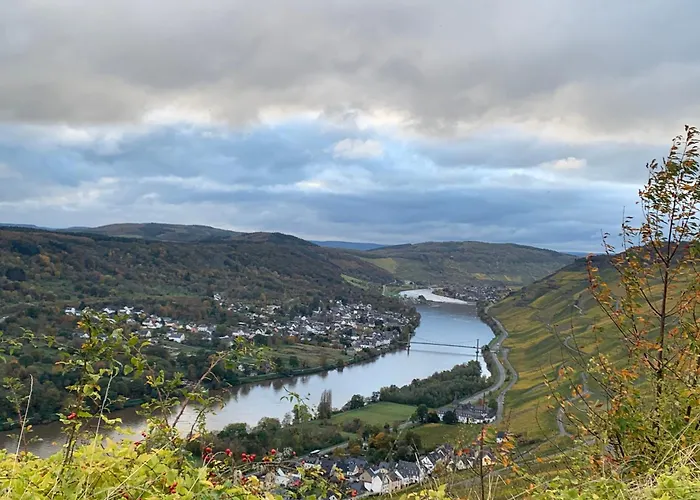 Weinhof Michael Morbach