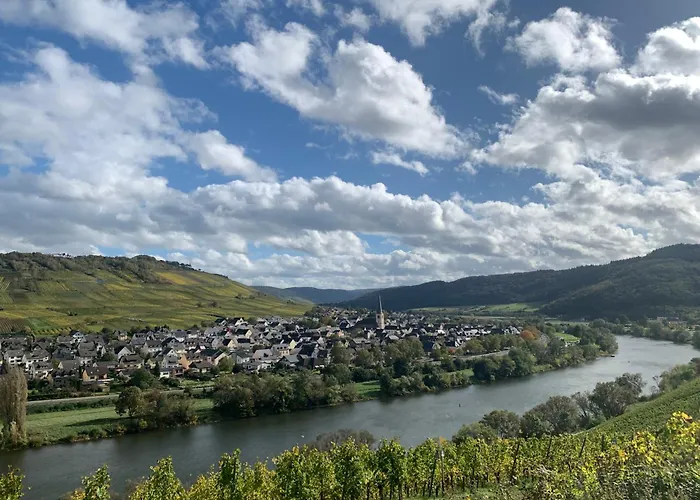 Weinhof Michael Morbach بيت ضيافة 3*