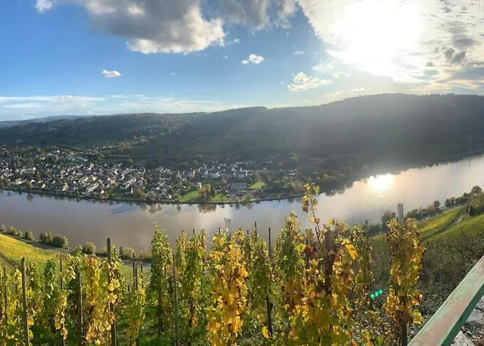 Casa de hóspedes Weinhof Michael Morbach 3*