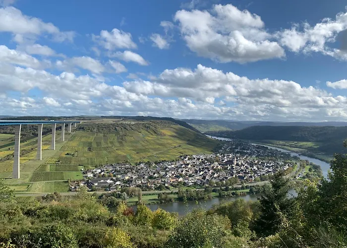 Weinhof Michael Morbach Casa de hóspedes Zeltingen-Rachtig