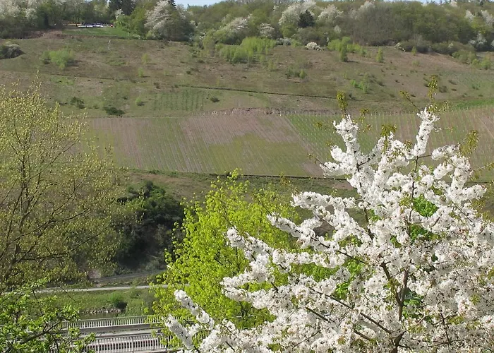 Weinhof Michael Morbach