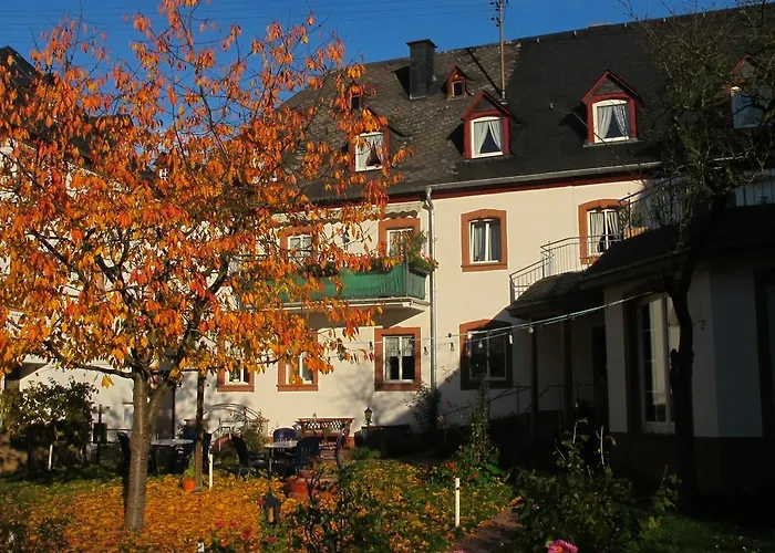 بيت ضيافة Weinhof Michael Morbach